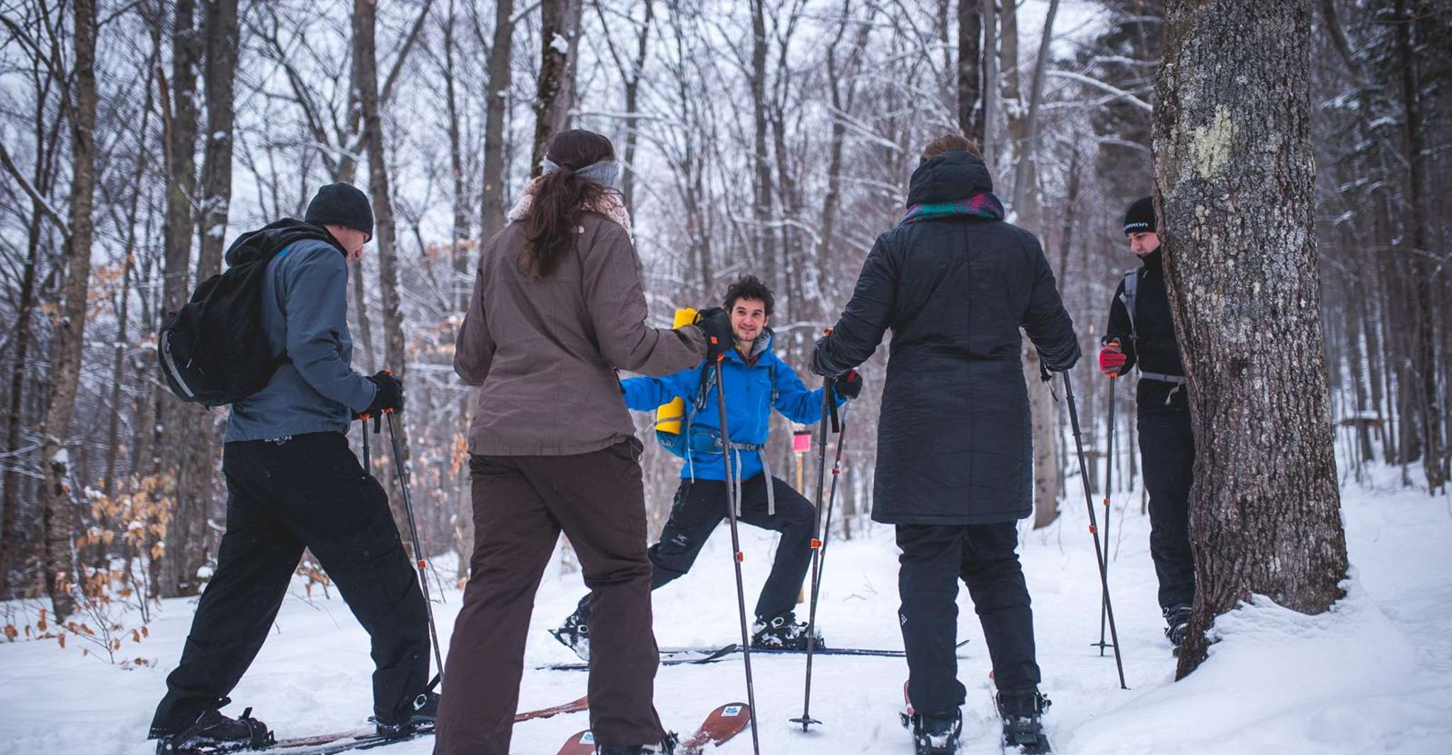 Jacques-Cartier National Park, Skiing Excursion - Hizvo