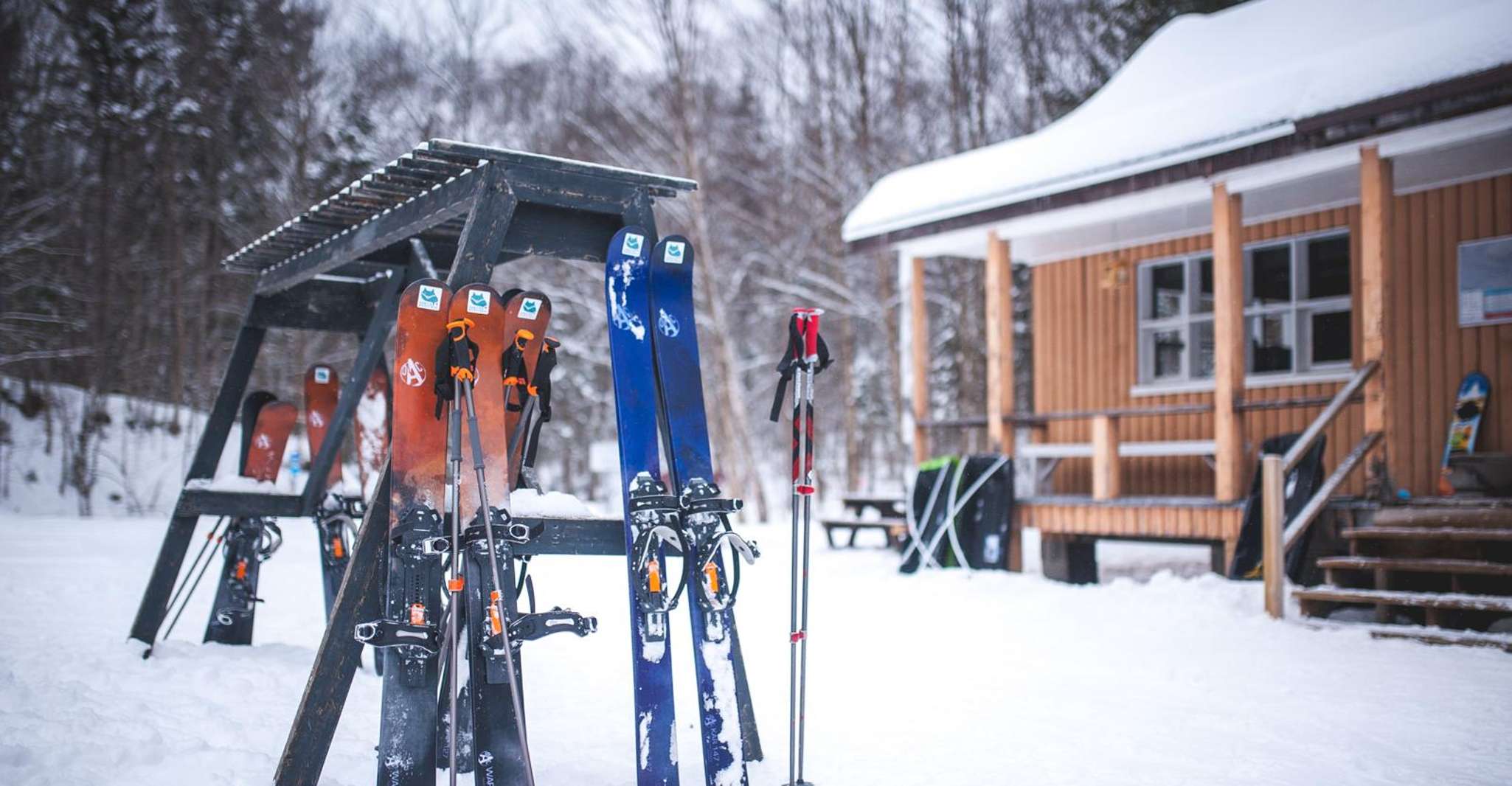Jacques-Cartier National Park, Skiing Excursion - Hizvo
