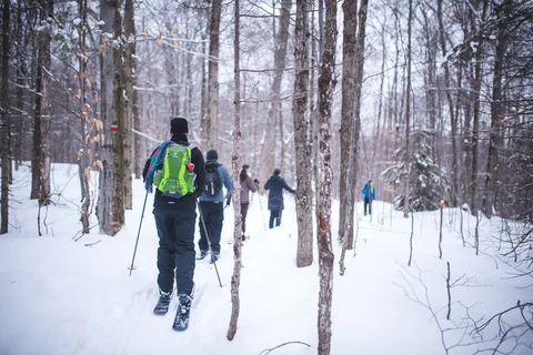 Parque Nacional Jacques-Cartier: Excursão de esqui