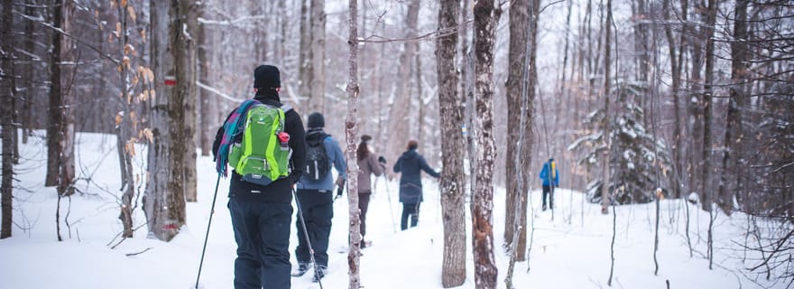 Parc national de la Jacques-Cartier : Excursion de ski