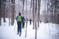 Jacques-Cartier National Park, Skiing Excursion - Hizvo