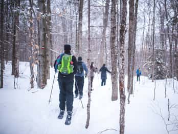 Jacques-Cartier-Nationalpark: Skischuhwandern Jacques-Cartier-Nationalpark: Skischuhwandern