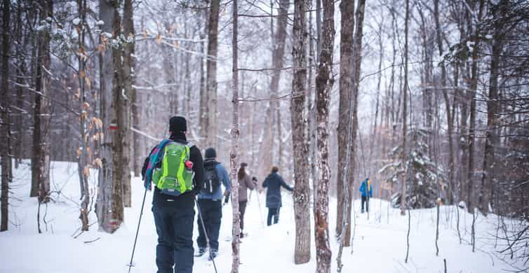 Jacques-Cartier National Park, Quebec - Book Tickets & Tours | GetYourGuide