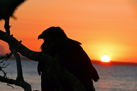 Hervey Bay: Relaxing Sunset Cruise with Champagne and Prawns