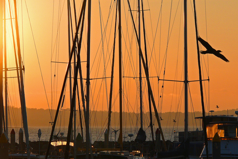 Hervey Bay: Relaxing Sunset Cruise with Champagne and Prawns