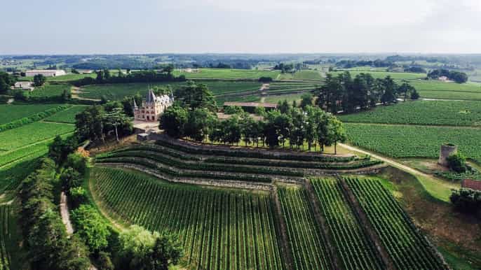 saintÉmilion food wine tasting and village tour