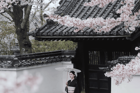 Kyoto: Kimono Makeover, Photoshoot, and Guided Tour Kyoto: Komon Kimono & 1-Hour Professional Photoshoot