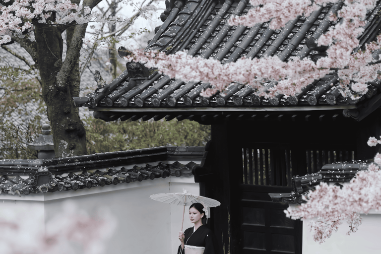 Kyoto: Kimono Makeover, Photoshoot, and Guided Tour Kyoto: Komon Kimono & 1-Hour Professional Photoshoot