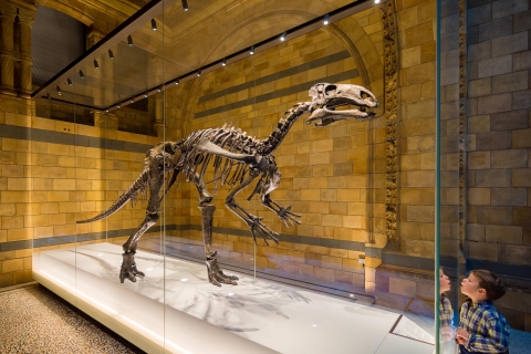 Natuurhistorisch museum van Londen Dinosaur Discovery Family TourNatuurhistorisch museum Familiebezoek in Londen in het Spaans