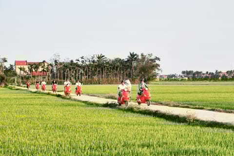 Hoi An Countryside by Electric Scooter