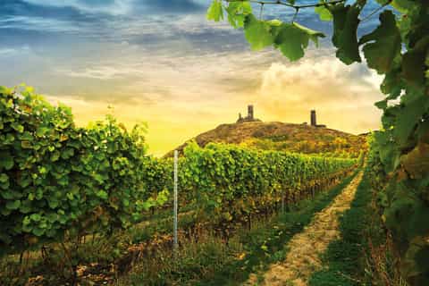 czech vineyards and wine tasting offroad tour from prague