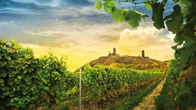 czech vineyards and wine tasting offroad tour from prague