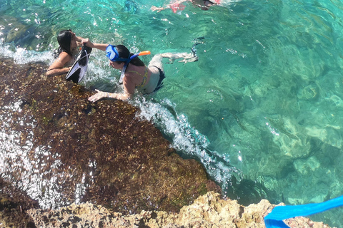 Majorque : Excursion d'une journée à Des Moro, Salmunia et LlombardsDepuis le nord : Mallorca tour Cala Des Moro, Salmunia y Llombard