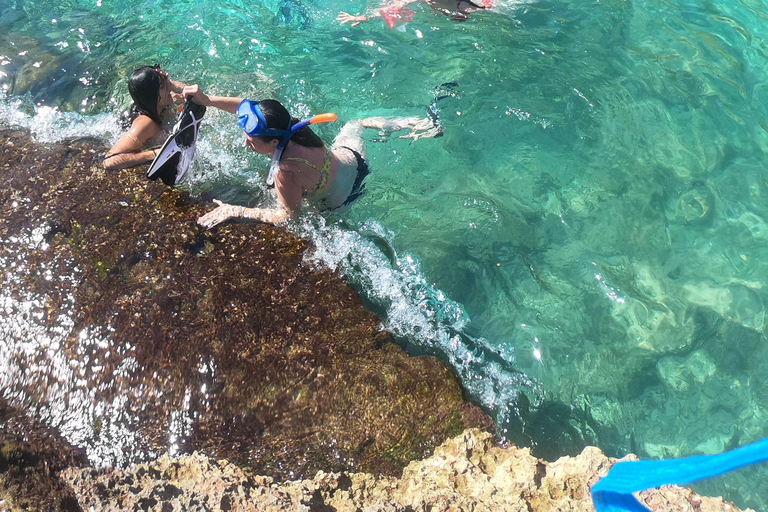 Majorque : Excursion d'une journée à Des Moro, Salmunia et LlombardsDepuis le nord : Mallorca tour Cala Des Moro, Salmunia y Llombard