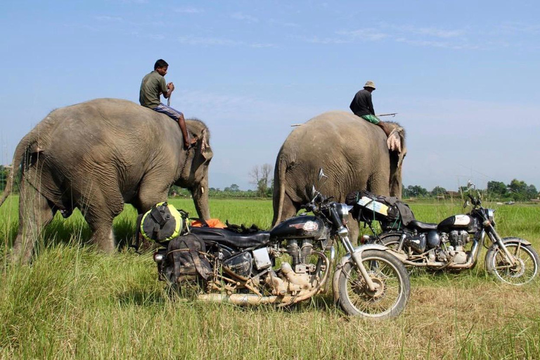 Kathmandu: 3-Day Guided Motorbike Tour to Pokhara & Chitwan Full package Inclusive with no hidden cost