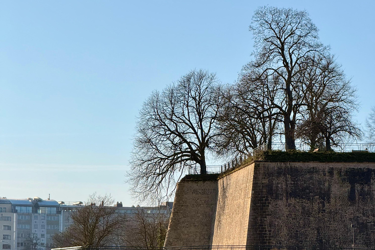 Luxembourg: Winter Hike, Ice Bath, and Grund Tour