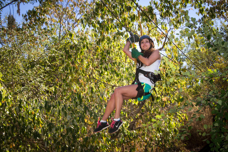 Victoria Falls: Canopy Tour