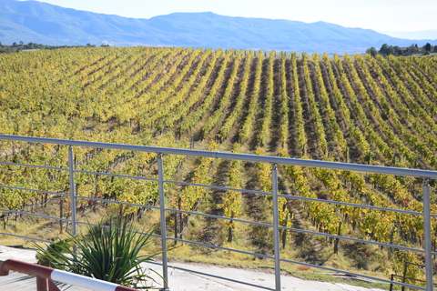 Tour do Vinho de MelnikOpção Padrão