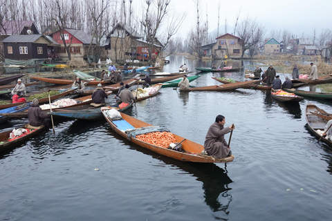 Srinagar: Private Day Tour with Shikara Ride at Dal Lake From Delhi: Private Day Tour with Shikara Ride at Dal Lake