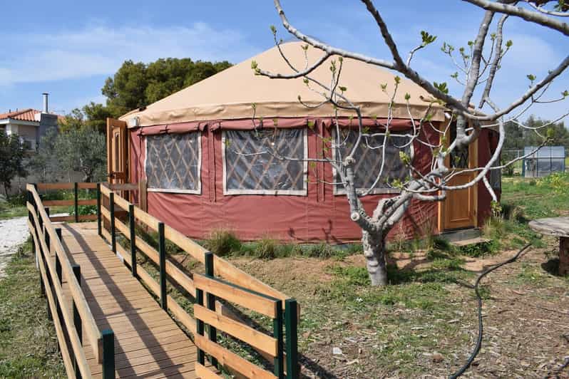 From Athens Olive Oil Farm Tasting Experience GetYourGuide