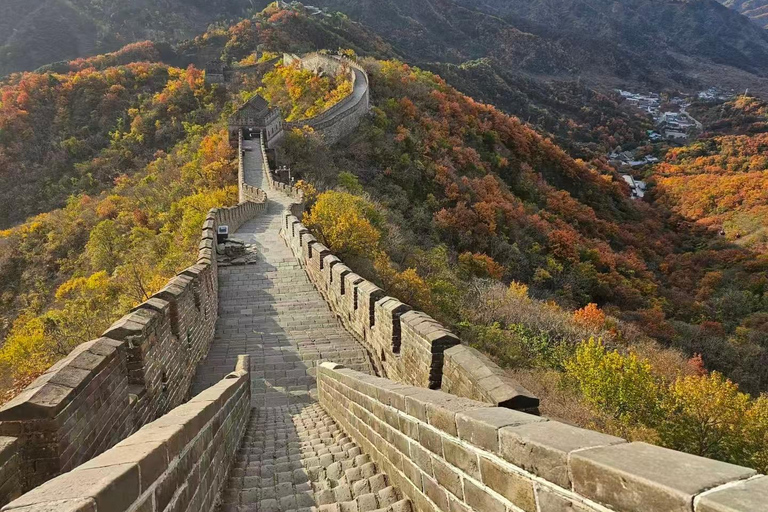 Beijing: Mutianyu Great Wall and Panda House Private Tour Private Day Tour without Tour Guide