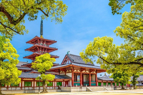 Da Osaka/Kyoto : Escursione privata a Osaka con servizio di prelievo e rientroTutto l'anno