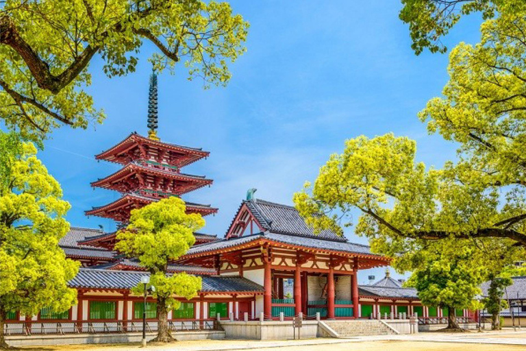 Da Osaka/Kyoto : Escursione privata a Osaka con servizio di prelievo e rientroTutto l'anno