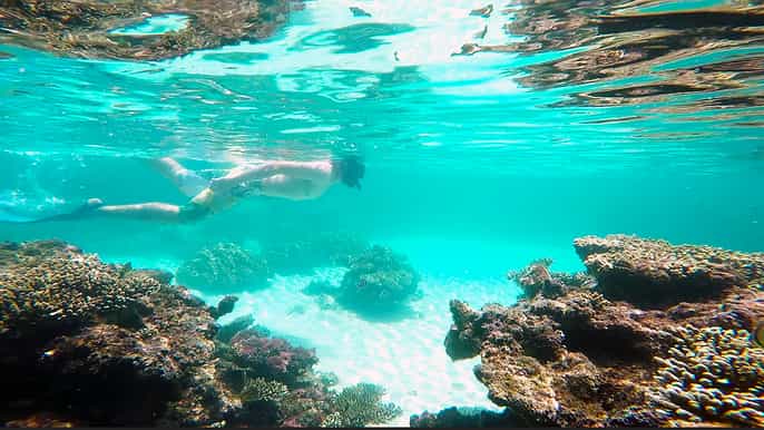 phu quoc south island snorkeling and fishing trip