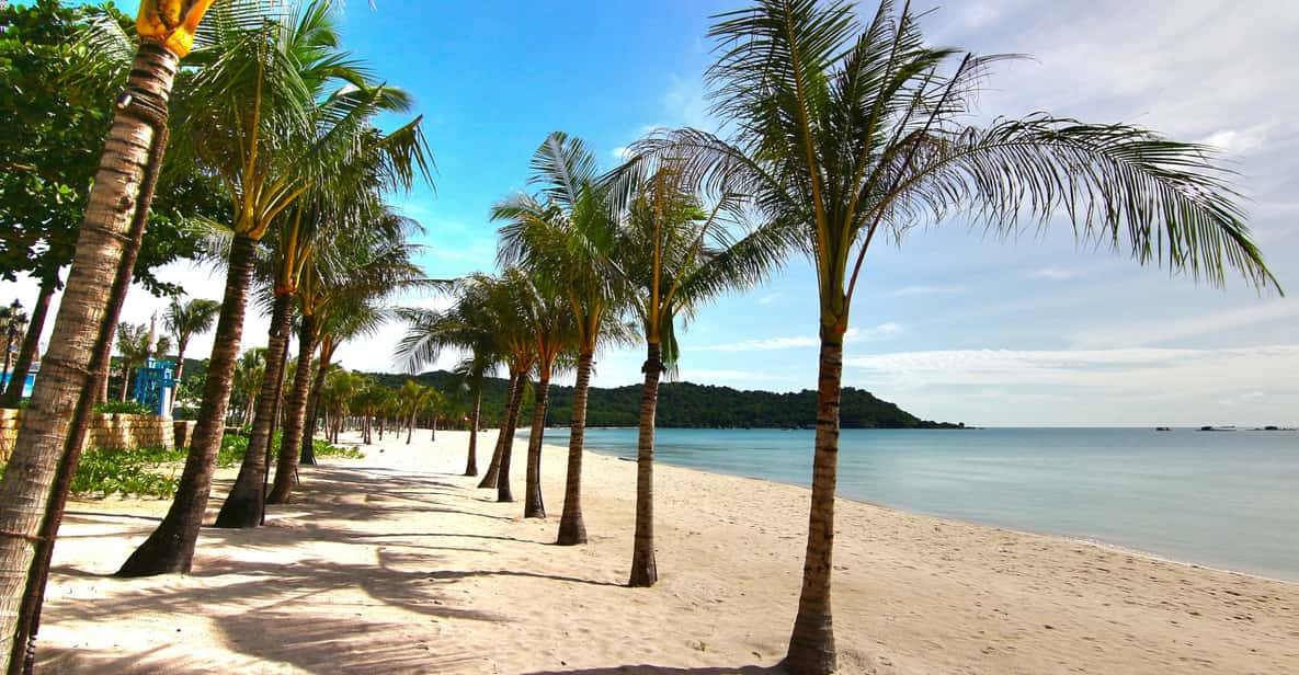Ho Coc Beach, Nature Reserve & Dragon Fruit Farm Day Tour