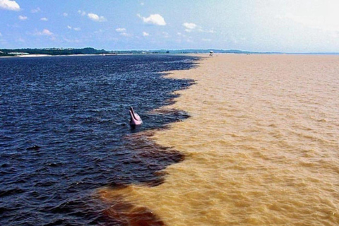 Iquitos: Amazon Cruise to Manaus – 8 days Iquitos: Amazon River Cruise to Manaus – 8 days