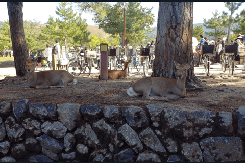 Private tour to Nara and Inari with Spanish-speaking Guide