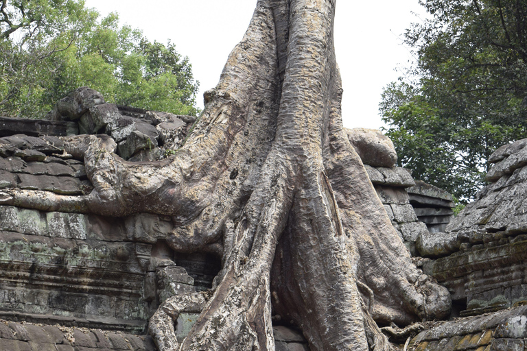 Siem Reap: Angkor Wat soluppgång Privat Tuk-Tuk-tur