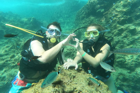 Side Underwater Museum Diving Adventure Side: Guided Scuba Diving Experience with Two Boat Dives