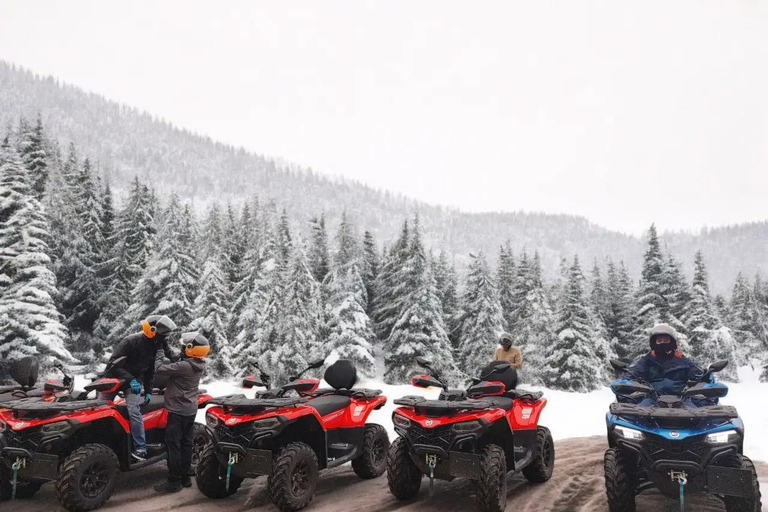 Sinaia: Guided ATV and Buggy Tour to Cota 1400 Guided ATV Tour for 4-6 Persons