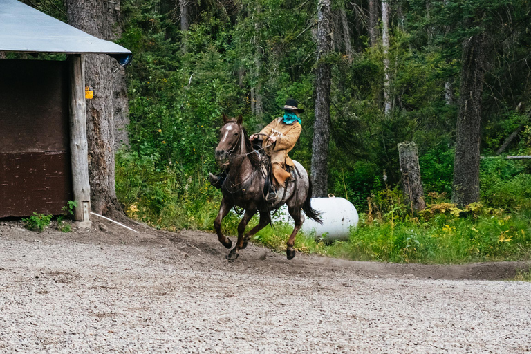 Jackson: Chuck Wagon Cookout and Live Show