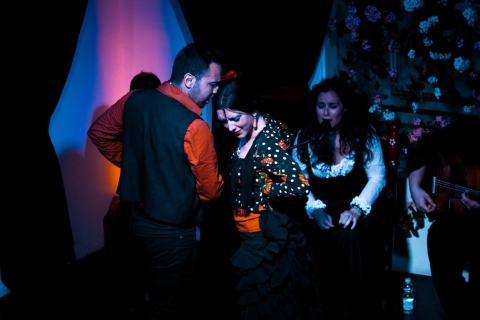 Auténtico espectáculo flamenco de 1 hora en GranadaEspectáculo de flamenco
