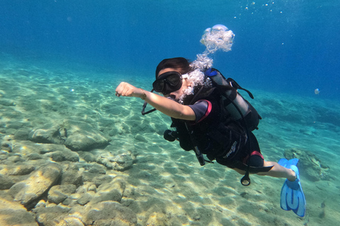 Heraklion: Scuba Diving Experience for Beginners Scuba diving course - without transfer