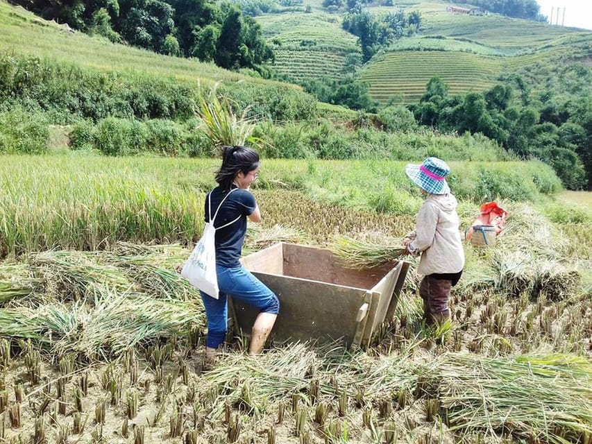 Sa Pa, Muong Hoa Valley Trek and Local Ethnic Villages Tour - Housity