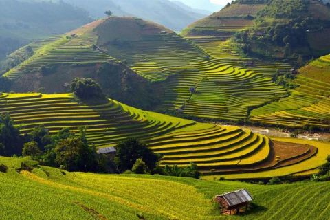 Sa Pa: Muong Hoa Valley Trek og lokale etniske landsbyer Tour