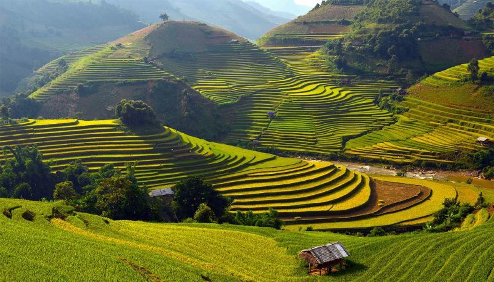 Sa Pa: Muong Hoa Valley Trek and Local Ethnic Villages