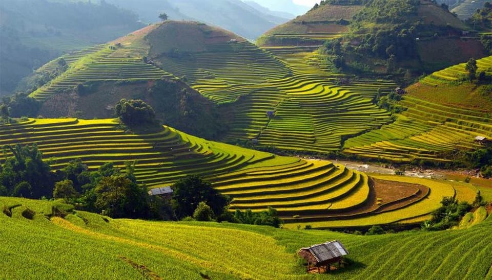 sapa