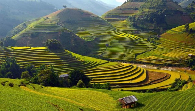 Visit Sa Pa Muong Hoa Valley Trek and Local Ethnic Villages Tour in Sapa