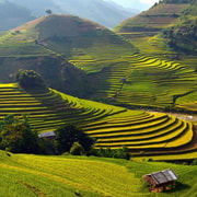 Sa Pa: Muong Hoa Valley Trek and Local Ethnic Villages