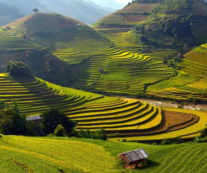 Sa Pa: Muong Hoa Valley Trek and Local Ethnic Villages Tour