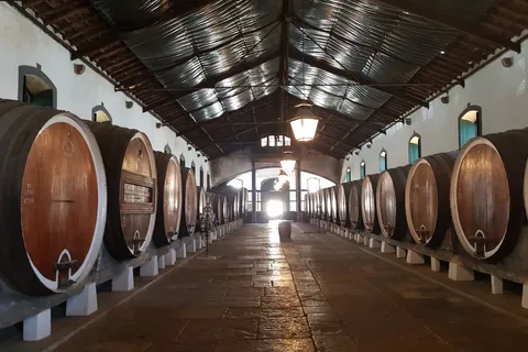 Da Lisbona: Sintra Wine Experience