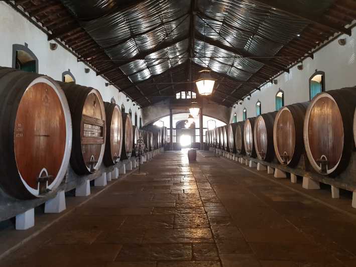 From Lisbon: Sintra Wine Experience
