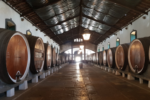 From Lisbon: Sintra Wine Experience