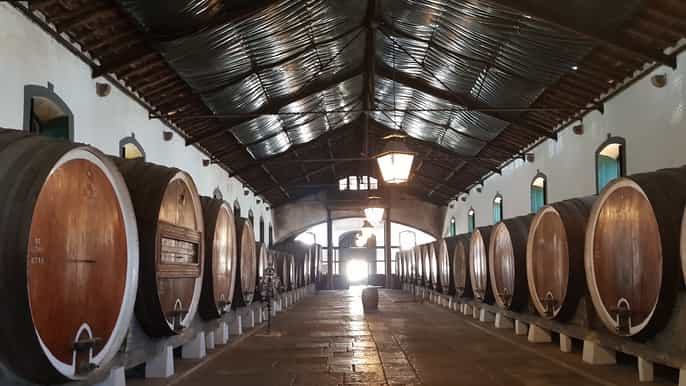 de lisboa sintra wine experience