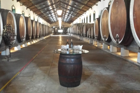 Aus Lissabon: Sintra Wine ExperienceVon Lissabon: Sintra Wine Experience