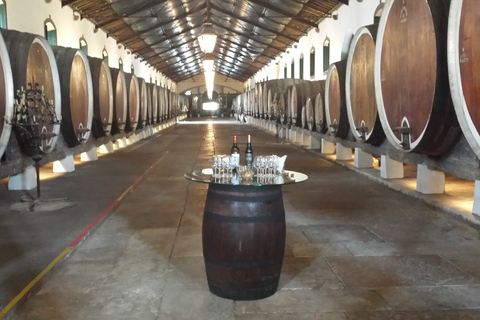 Van Lissabon: Sintra Wine Experience